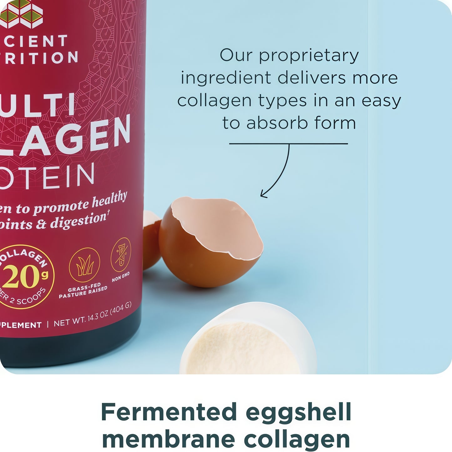 Ancient Nutrition Collagen Powder Protein with Probiotics